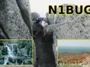 N1BUG's QSL card highlights some of his non-ham radio pursuits.